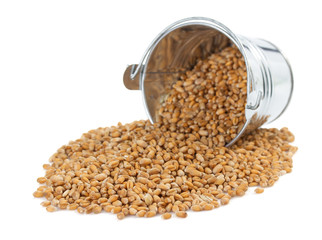 bucket isolated on white