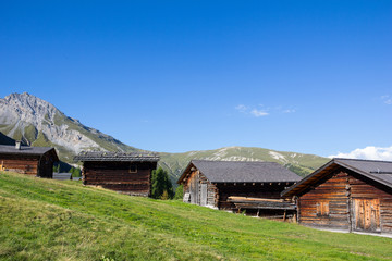 Fototapeta na wymiar Cottages At Wiesner Alp 1.945m In Davos Wiesen Graubünden Switzerland View In Summer