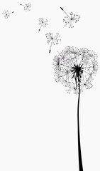 dandelions silhouettes in the wind