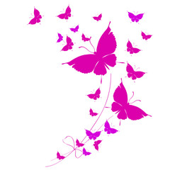 butterflies design