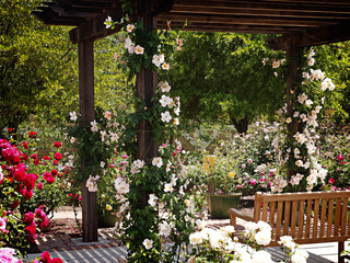 Place of Contemplation