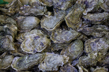Huîtres