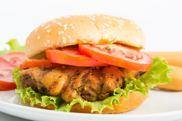 Classic Big hamburger on dish isolate
