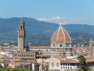 Fototapeta na wymiar Duomo e Palazzo Vecchio, Firenze