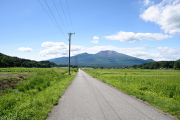 Fototapeta na wymiar 浅間山と一本道