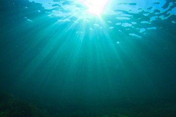 Underwater backgound