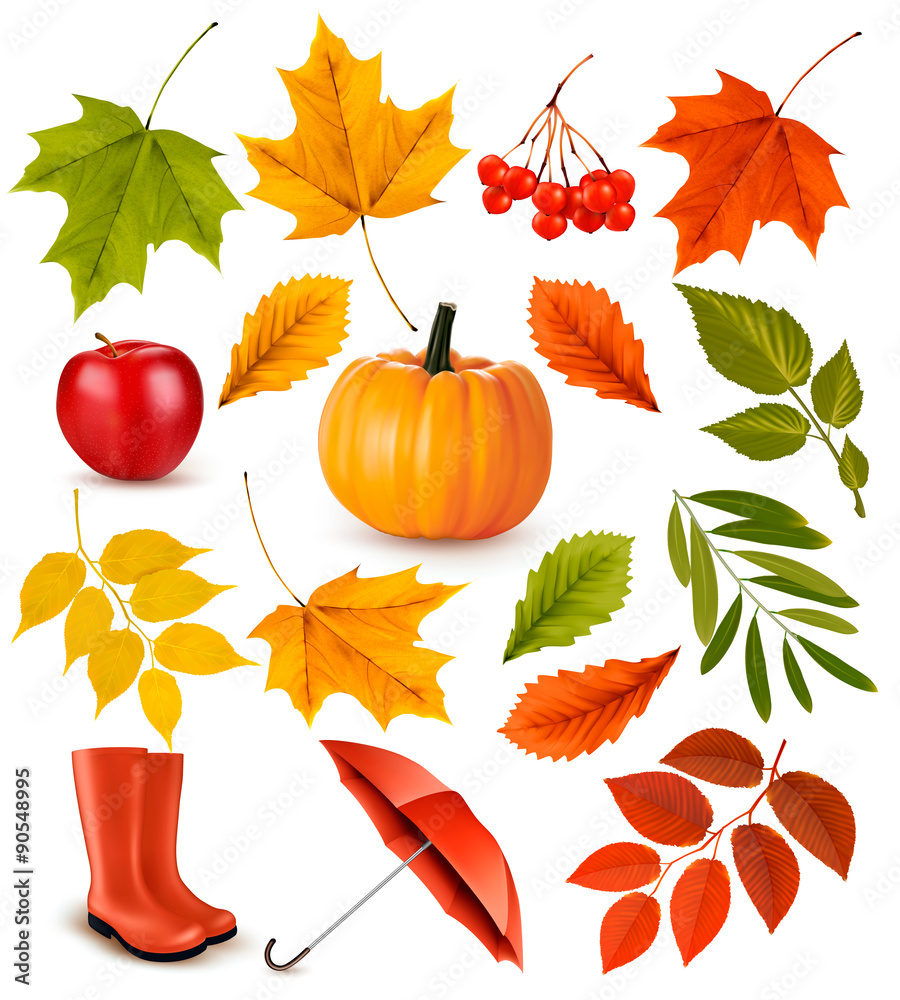 Poster set of colorful autumn leaves and objects. vector illustration.