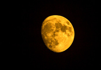 yellow moon