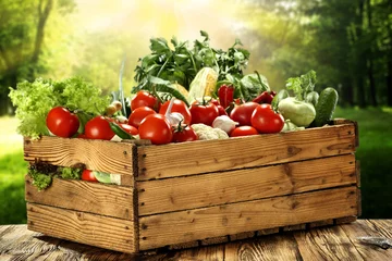 Foto op Plexiglas Groenten groenten