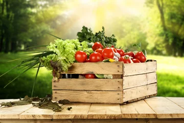 Cercles muraux Légumes vegetables 
