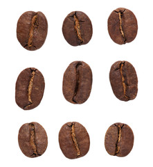 coffe beans set