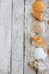 Sea theme border background