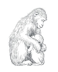 Monkey. Symbol of the new 2016 year. Mother and child.