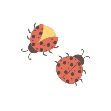 Cute ladybug cartoon.
