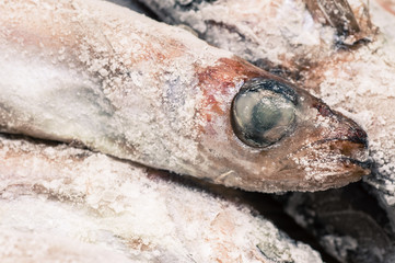 Eye frozen fish tilapia