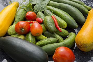 Health food vegetables isolated .