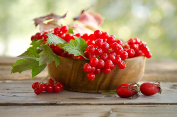 Red Viburnum berries in wooden bowl on the table with two rose h