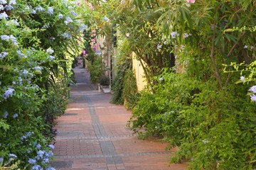 France, Antibes - August 28: Narrow street view in the ancient t