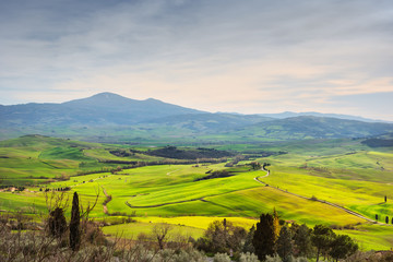 Countryside in Val d'Orcia province. Tuscany, Italy