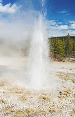 Vixen Geyser
