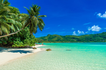 Obraz na płótnie Canvas Anse a La Mouche - Paradise beach in Seychelles, Mahe