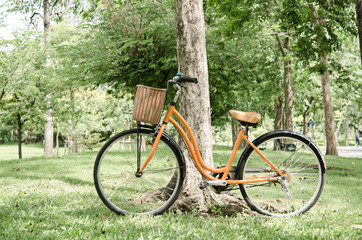 Fototapeta na wymiar bicycle in green park