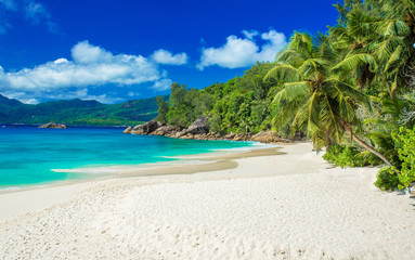 Fototapeta na wymiar Anse Soleil - Paradise beach on tropical island Mahé