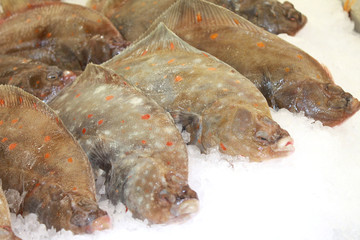 plie © gribouilleeva