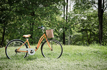 Fototapeta premium bicycle in green park