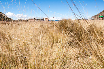 Fototapeta premium Bolivia - Isla del Sol on the Titicaca lake