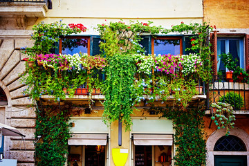Fototapeta na wymiar Balconies full of of flowers and greenery decorate houses in Rome