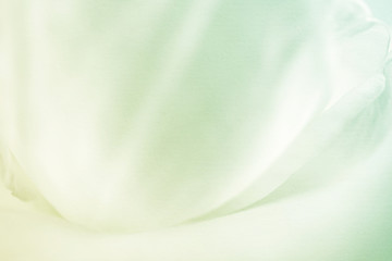 sweet color rose petal in soft and blur style on mulberry paper texture
