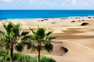 Foto op Plexiglas Canarische Eilanden Zandduinen van Maspalomas. Gran Canaria. Canarische eilanden.