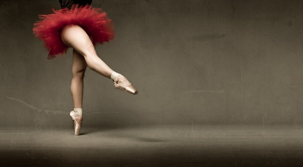 ballerina with tutu indicated with foot