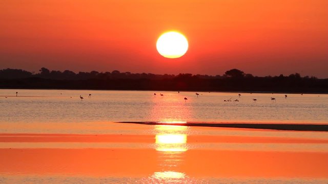 Lever de soleil en Camargue