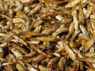 Pile of little fried fish (grundle/ Grundeln).