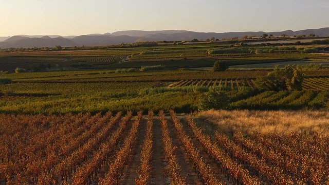 Vignoble en Languedoc-Roussillon