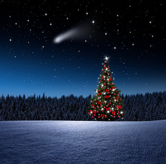 Weihnachtsbaum bei Nacht