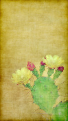 painting with cactus in bloom on grunge background