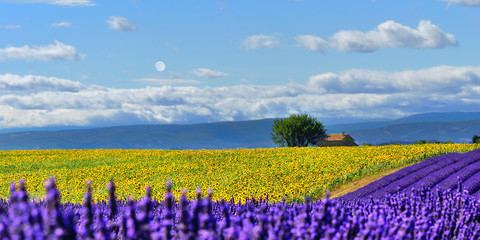 Provence rural landscape