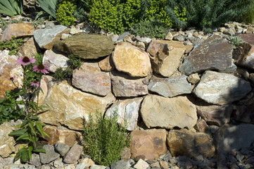 Steingarten; Trockenmauer; fuenf, Monate nach Bepflanzung