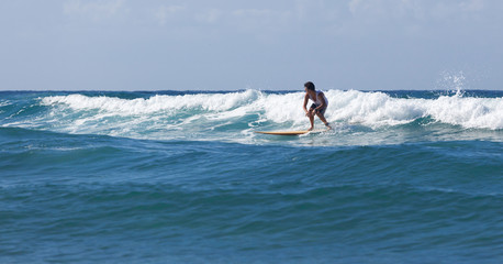 Surfer on longboard rides a wave in the sea