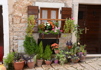 Fototapeta na wymiar Blumenfenster in Bale, Istrien, Kroatien