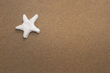 Fototapeta na wymiar On the beach white starfish