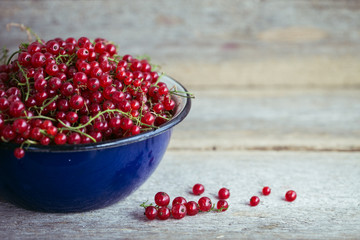 red currants in an enamel pot on wooden background