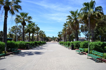 Palmy Valletta