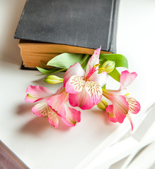 Alstroemeria flowers with book in vase