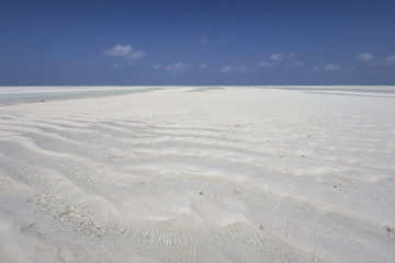 Fototapeta na wymiar Zanzibar beach