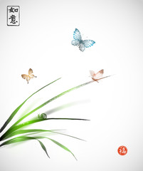 Butterflies and little snail on leaves of grass h