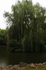 green Lake